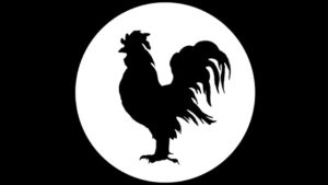 ROOSTER-300x169